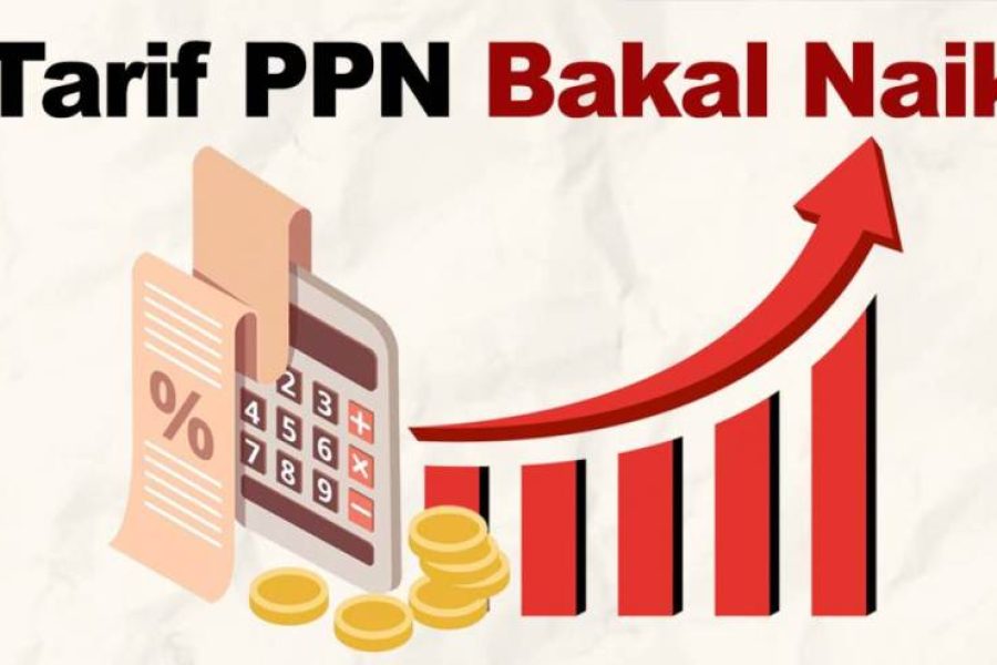 ppn naik