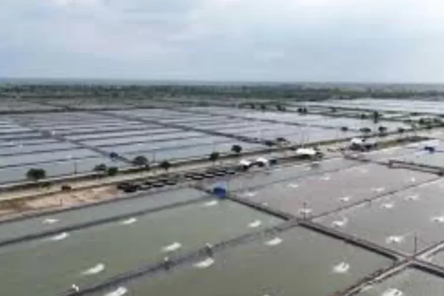 Karawang Jadi Lokasi Prioritas Program Revitalisasi Tambak Pantura