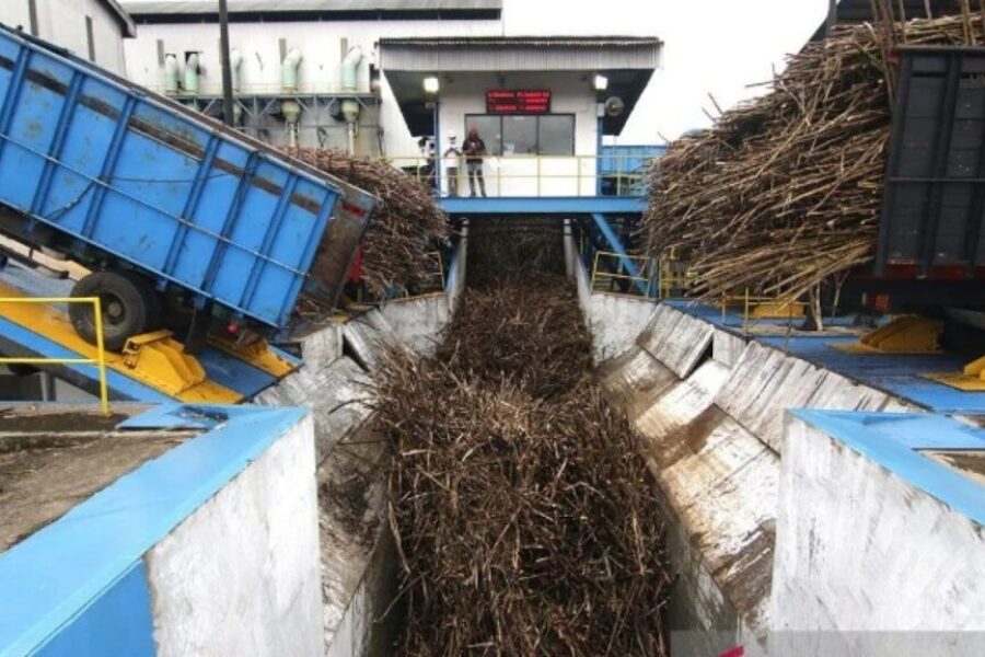 Danantara Siapkan Rp1,5 Triliun untuk Serap Gula Petani, 5.000 Ton di Situbondo Menumpuk