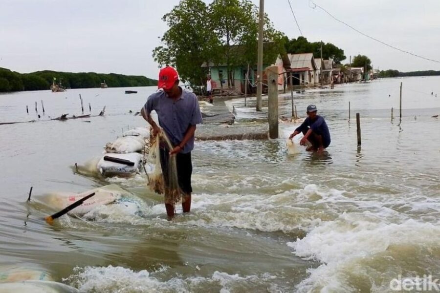 Banjir Rob Kembali Rendam Pesisir Karawang, Warga Cemas Gelombang Susulan